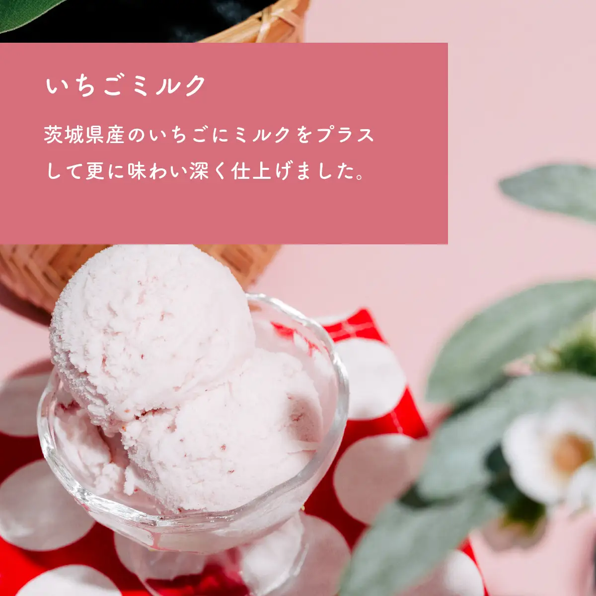 ジェラート 1L×2個 アイス いちごミルク × シャインマスカット ジェラート