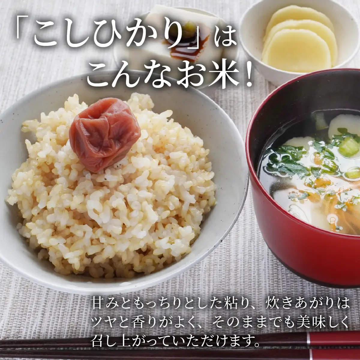 玄米 南さんちのこしひかり 4kg 玄米 【令和8年産】【有機JAS認証米】