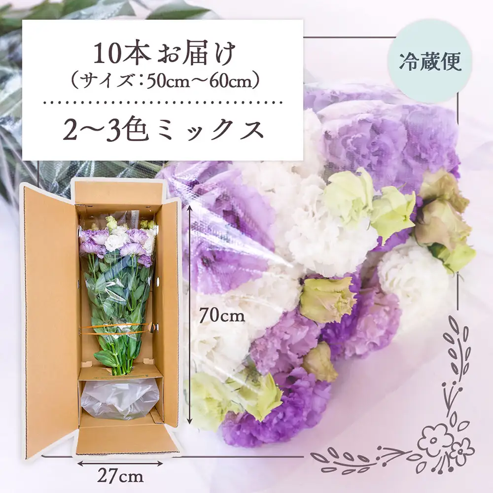 R8.9月下旬発送】トルコギキョウ 10本 切り花 生産者おまかせ 2~3色