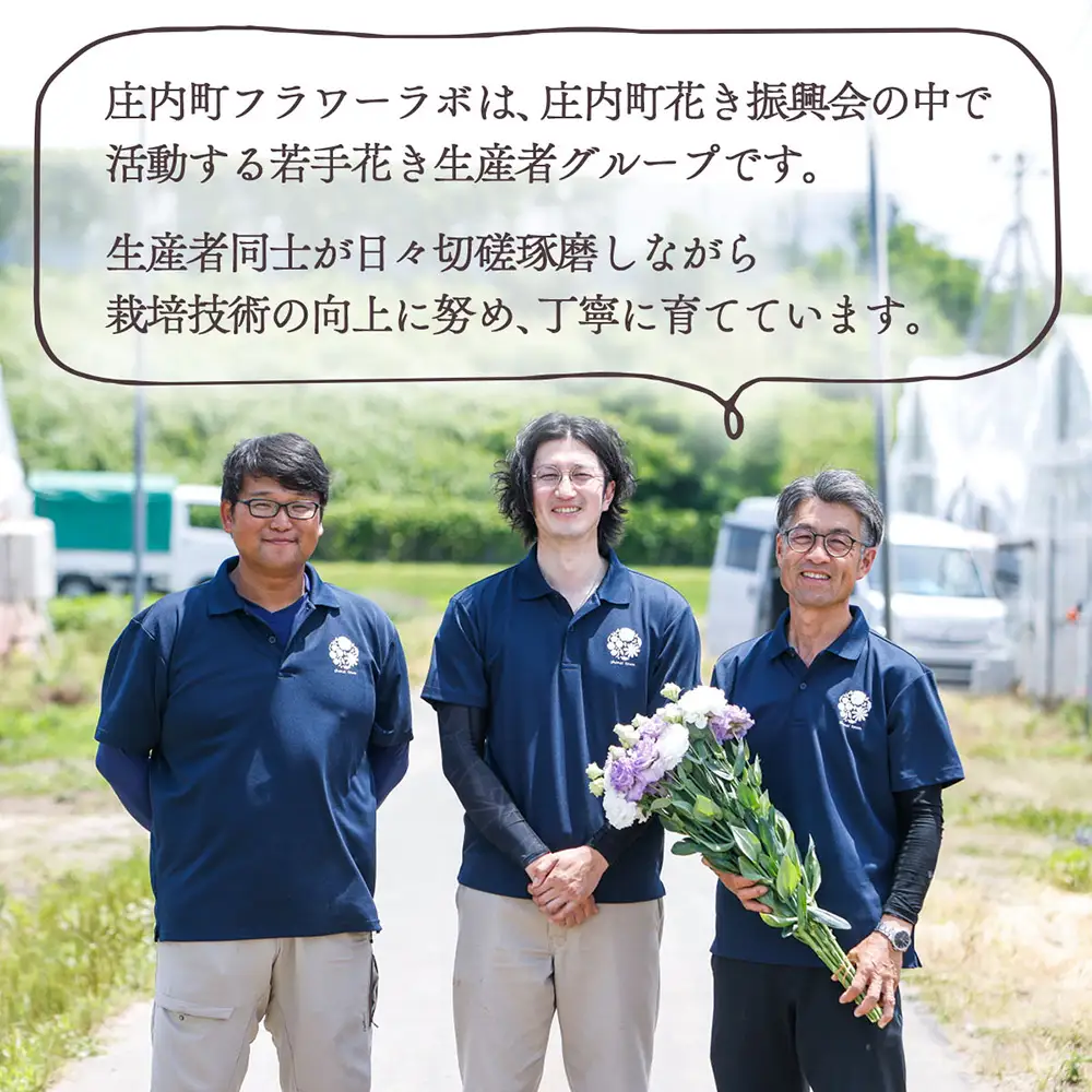 【R8.11月発送】ストック 15本 切り花 生産者おまかせ ミックス スプレータイプ スタンダードタイプ 先行受付 ピンク 黄色 紫 白 アラセイトウ 自宅 リビング 花 生花 花束 国産 庄内町フラワーラボ