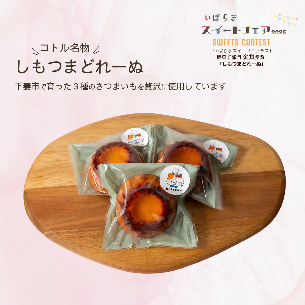 マドレーヌ 焼菓子 詰め合わせ コトル Dセット マドレーヌ