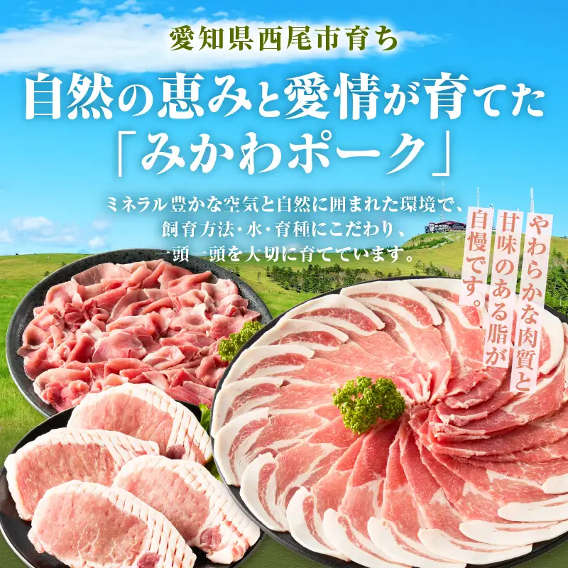 西尾市産みかわポークの焼豚 2本・T166