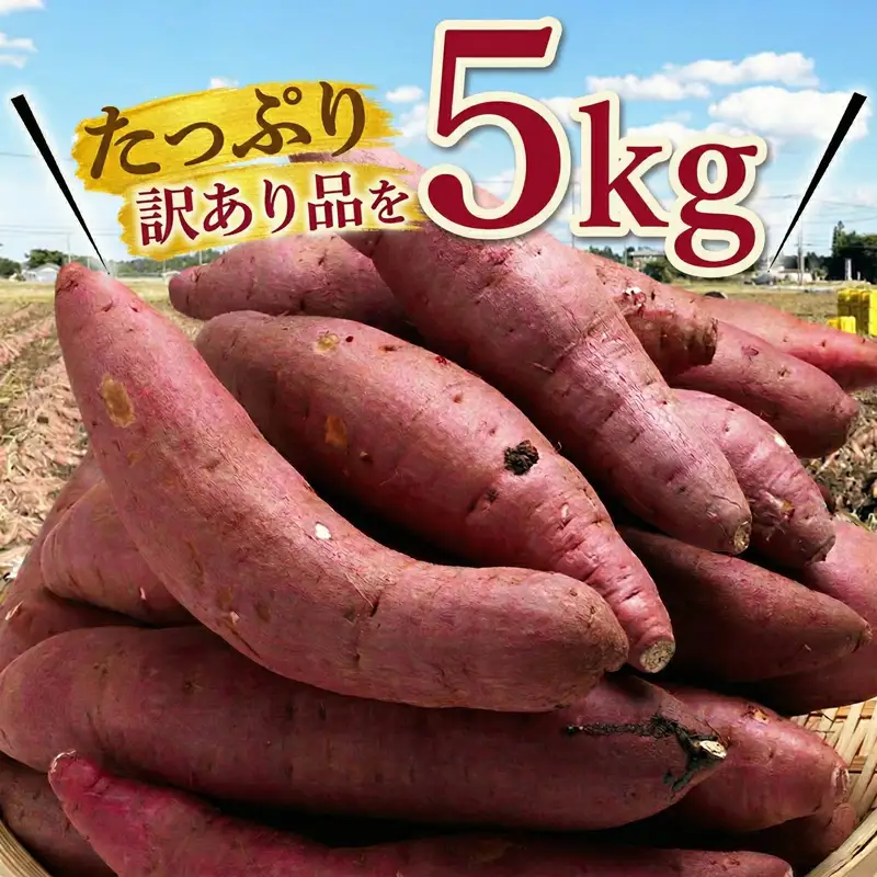 さつまいも サツマイモ 紅はるか 訳あり 12kg SDK001