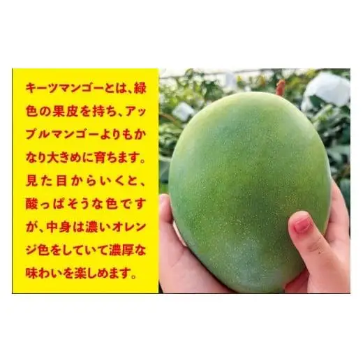《2026年発送》宮古島すがわら農園 【訳あり】 キーツマンゴー ２玉（FR010）