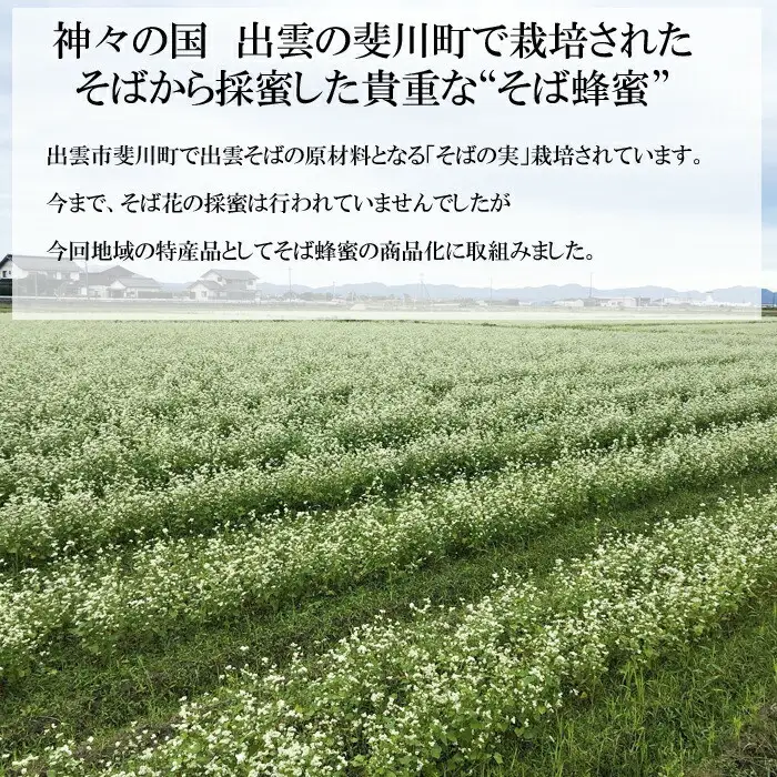 神の国 出雲産 純粋そば蜂蜜 120ｇ×2瓶 合計240ｇ