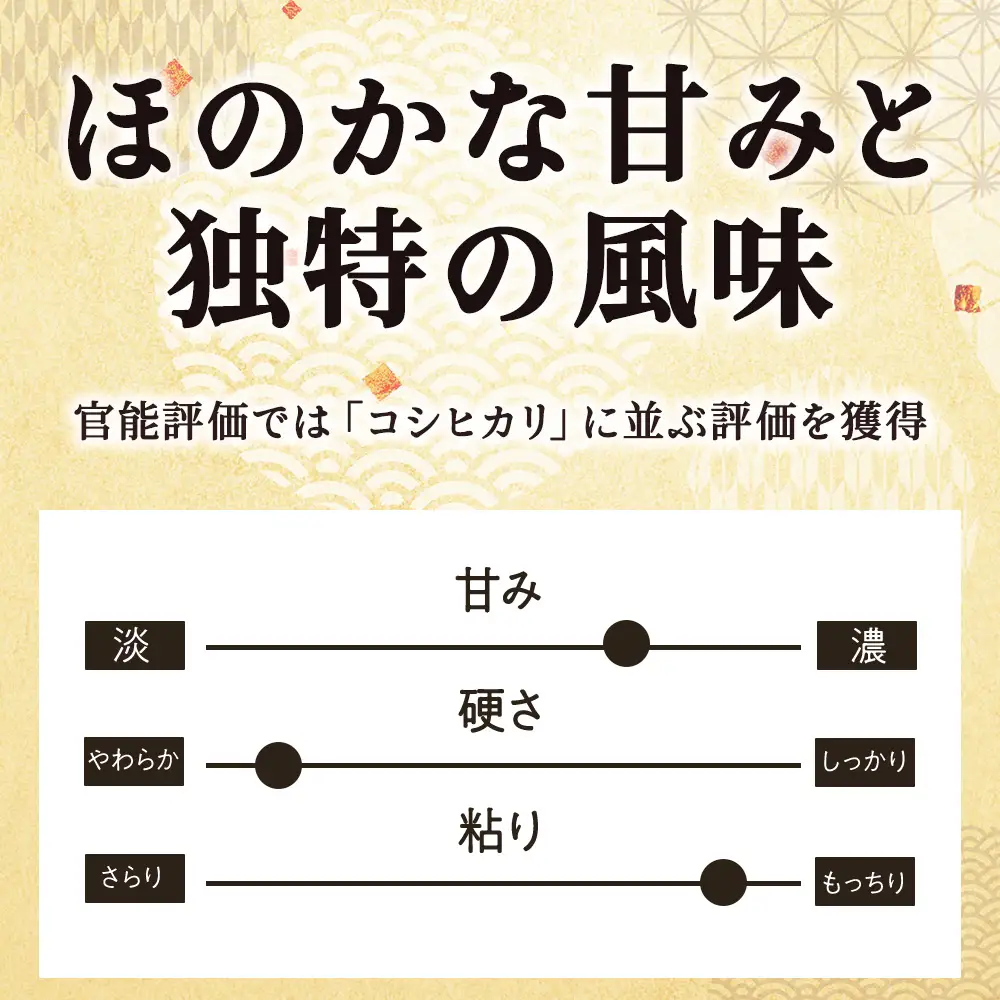【令和7年産】北海道産おぼろづき 5kg×2 計10kg【配送不可地域：離島・沖縄県】