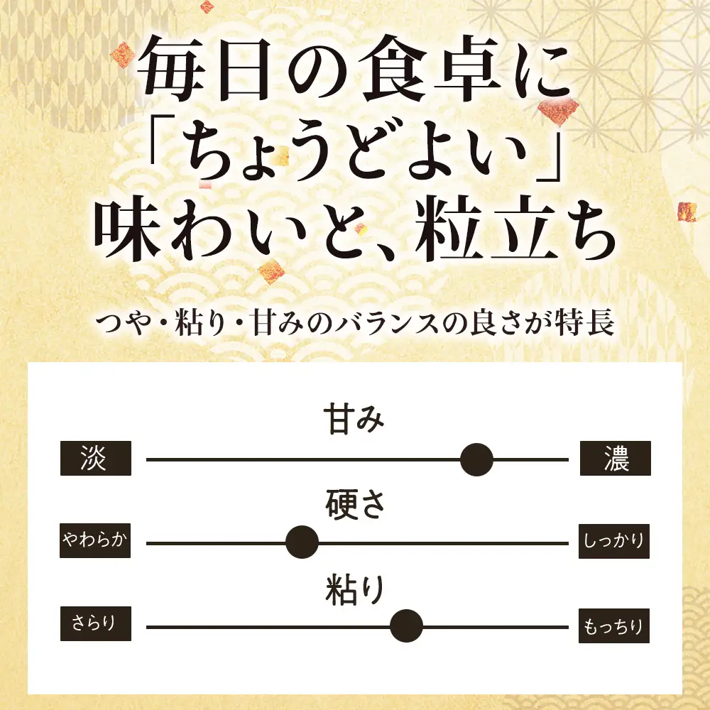 【令和7年産】北海道産ななつぼし 5kg×2 計10kg【配送不可地域：離島・沖縄県】