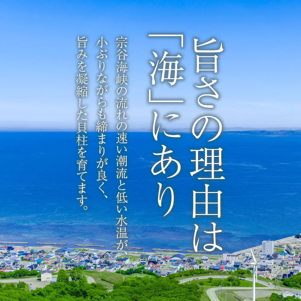 冷凍ほたて貝柱中小サイズ1kg １個【配送不可地域：離島・沖縄県】