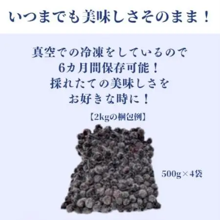 冷凍ブルーベリー2kg(500g×4パック)【配送不可地域：離島】【1761153】