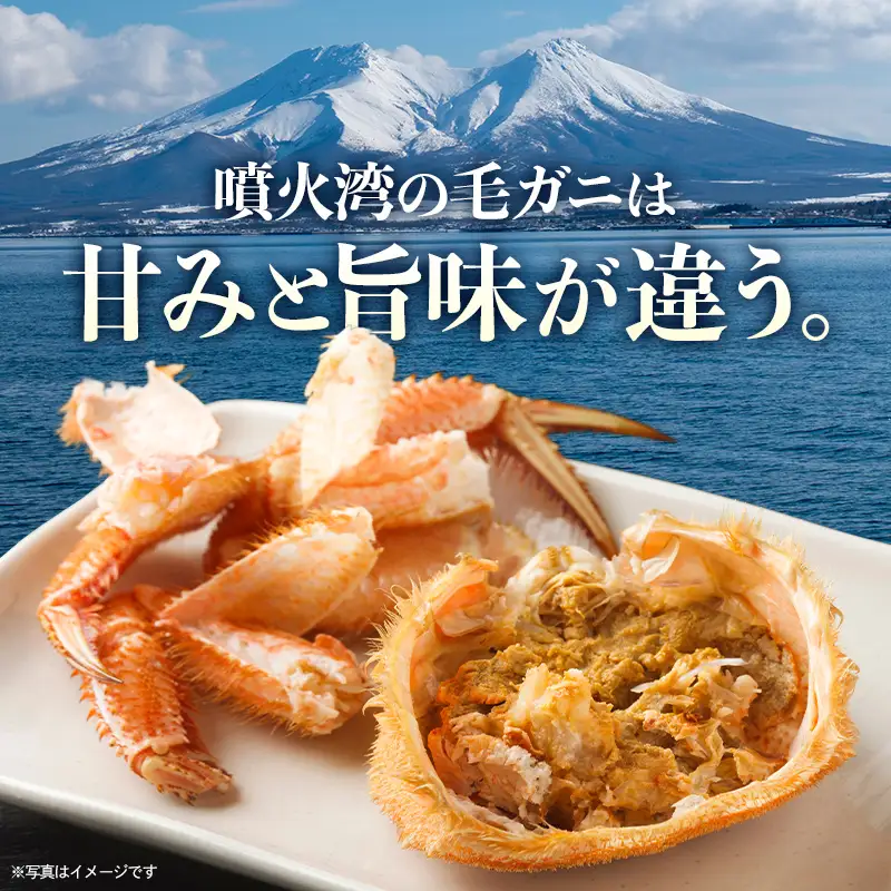 【訳あり】北海道・噴火湾産冷凍ボイル毛ガニ約300g前後×5尾 mr1-1430