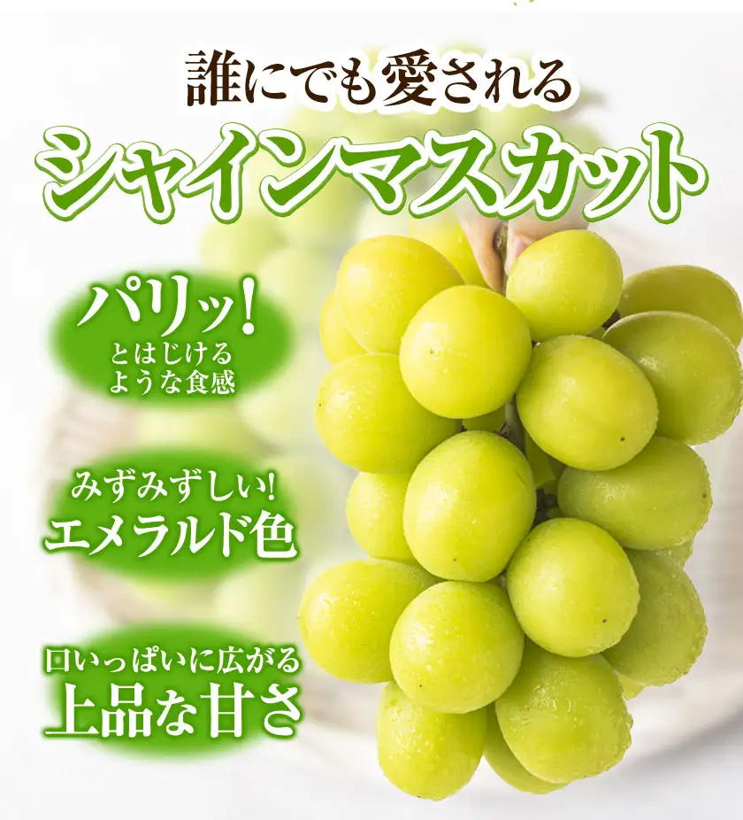 【おすそわけ便】シャインマスカット 計約2.6kg (約1.3kg(2-3房)×2箱)