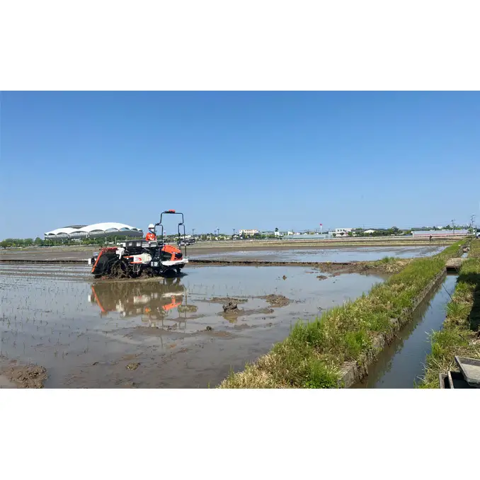 【先行予約】R8年産【アルビ米】新潟産コシヒカリ精米2kg×2袋 お米 白米 ブランド米 銘柄米 ご飯 おにぎり お弁当 和食 主食 国産 炭水化物 直送 産地直送