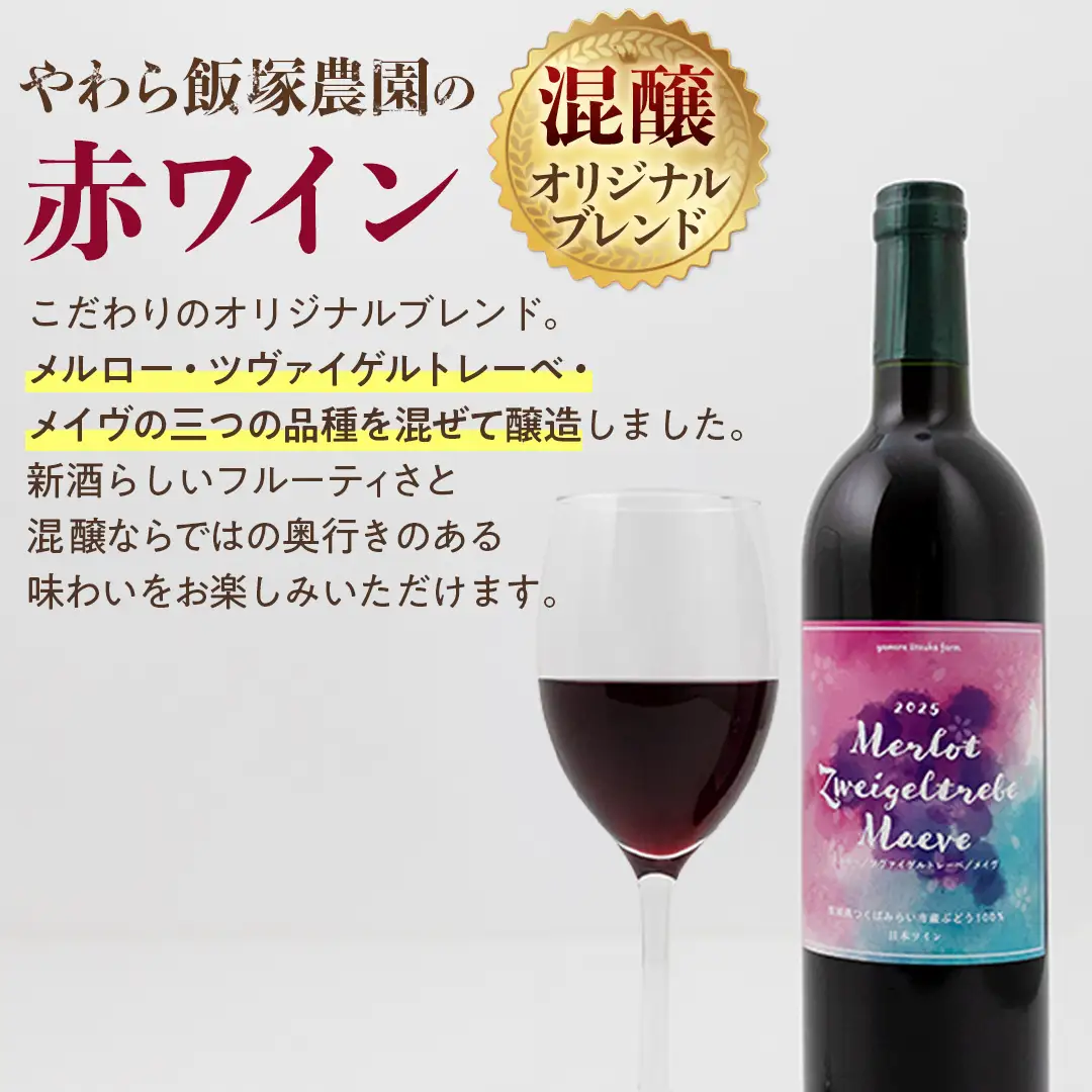 地元農家が作る つくばみらい市産 ぶどう を使った 赤ワイン・スパークリングワイン各1本 計2本セット