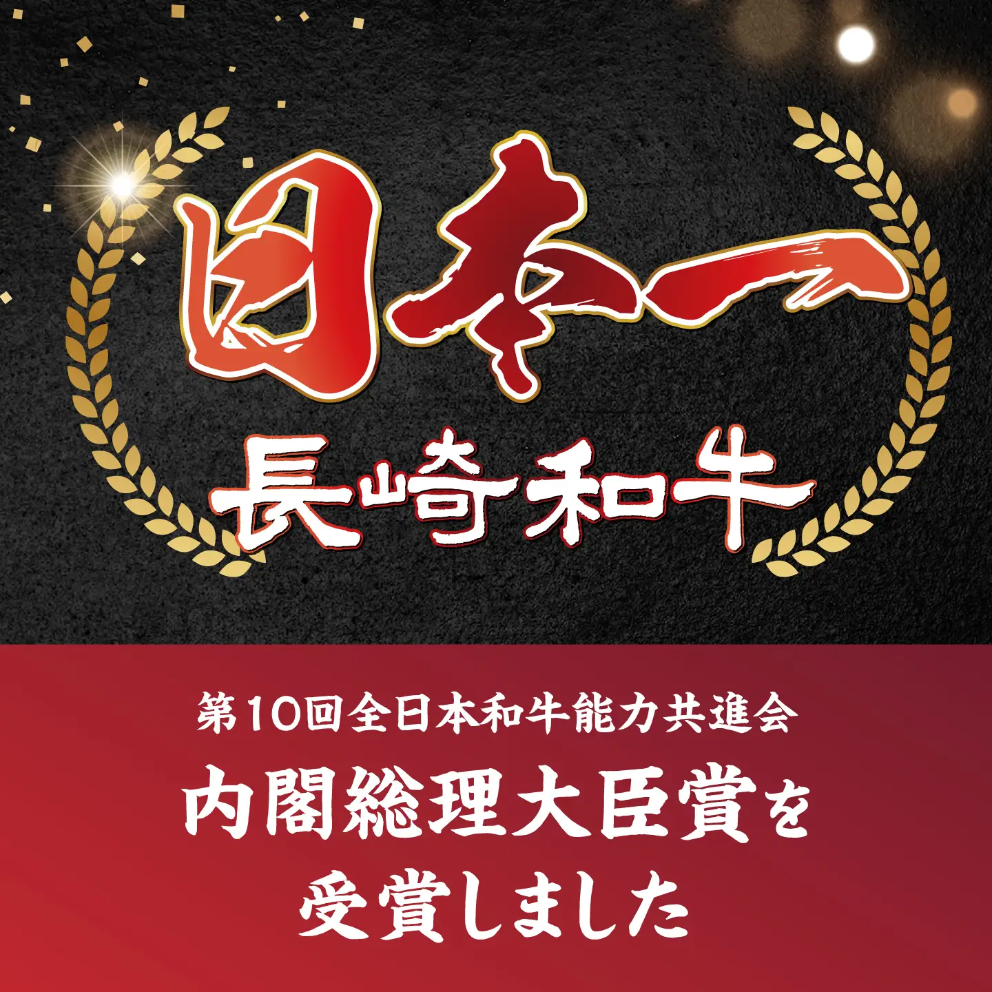 【6回定期便】艶さし！【A4?A5】長崎和牛大判霜降り贅沢切り落とし 計750g（250g×3パック）＜株式会社MEAT PLUS＞[CFT077]