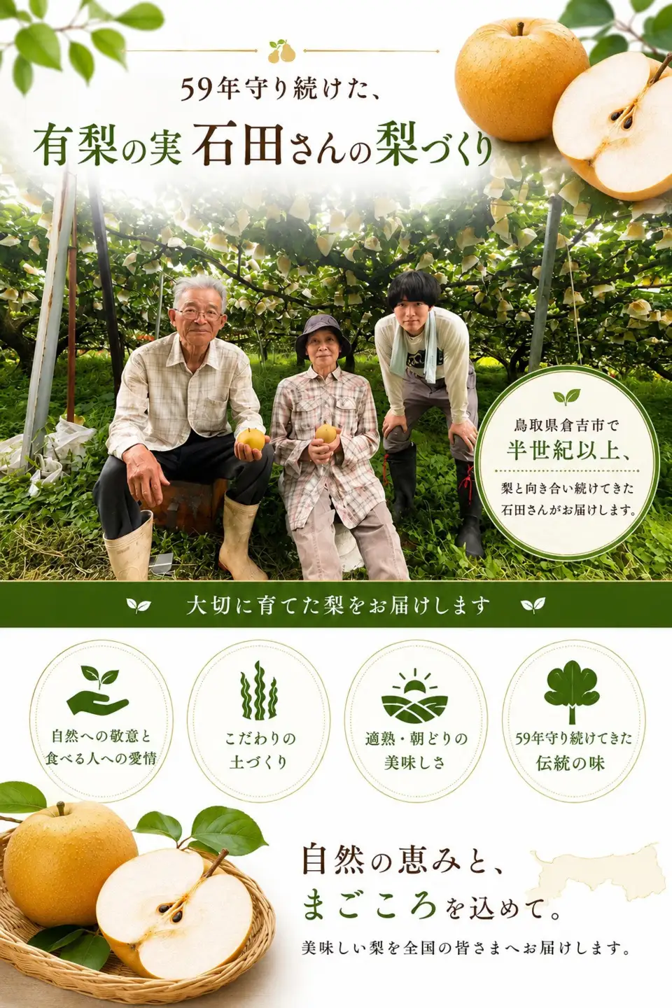 有梨の実石田 新興梨 進物5kg 【鳥取県 境港市】