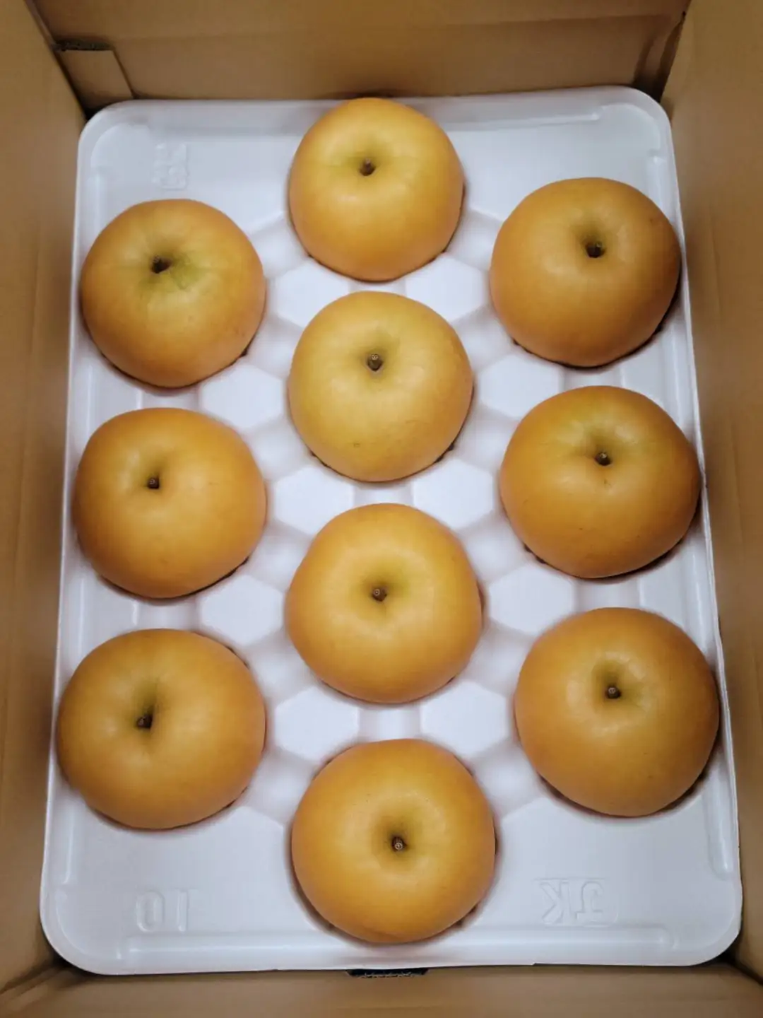 岸田秀果園 新興梨(自家用)5kg 【鳥取県 境港市】