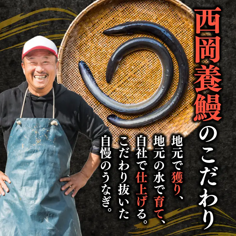 うなぎ きざみうなぎ 500g 国産 【うなぎ蒲焼】