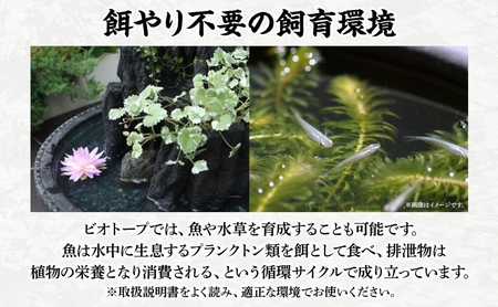 昇龍の滝 小サイズ 滝音 ビオトープ せせらぎ 庭 バルコニー メダカ エサやり不要 癒し ガーデニング リラクゼーション アクアフォレスト 神奈川県寒川町(※鉢はついていません)