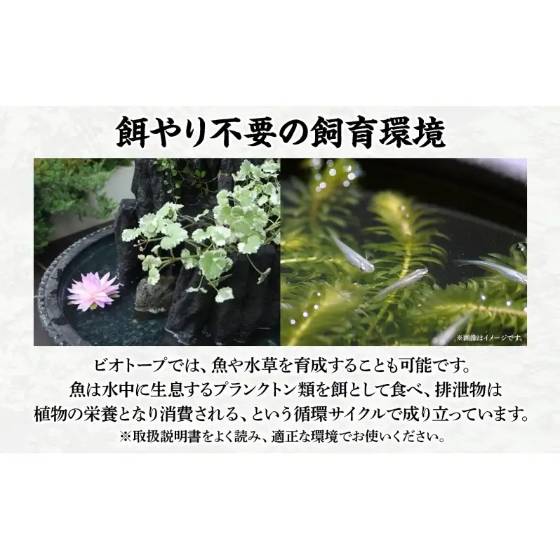 昇龍の滝 大サイズ 滝音 ビオトープ せせらぎ 庭 バルコニー メダカ エサやり不要 癒し ガーデニング リラクゼーション アクアフォレスト 神奈川県寒川町(※鉢はついていません)