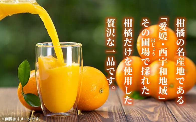 ＜媛一ジュース まどんな 500ml×6本＞『最短10営業日以内に発送予定』国産 マドンナ オレンジジュース みかんジュース 果汁 ストレートジュース 愛媛県産 西宇和 果汁 ジュース みかん オレンジ 飲料 セット 小林果園 愛媛県 西予市【常温】OKE0014