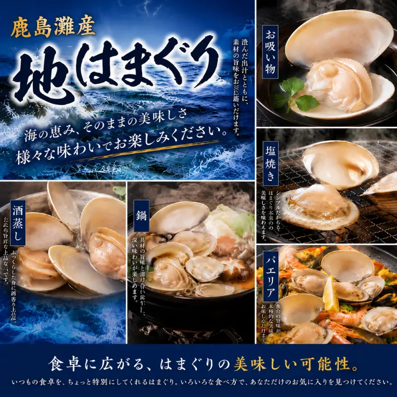 【 はまぐり 】 約800g 4～8個 大粒 はまぐり