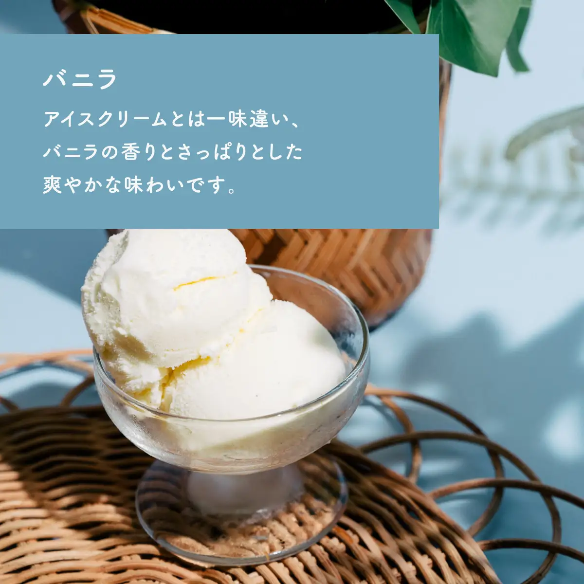 ジェラート 1L×2個 アイス バニラ × シャインマスカット ジェラート