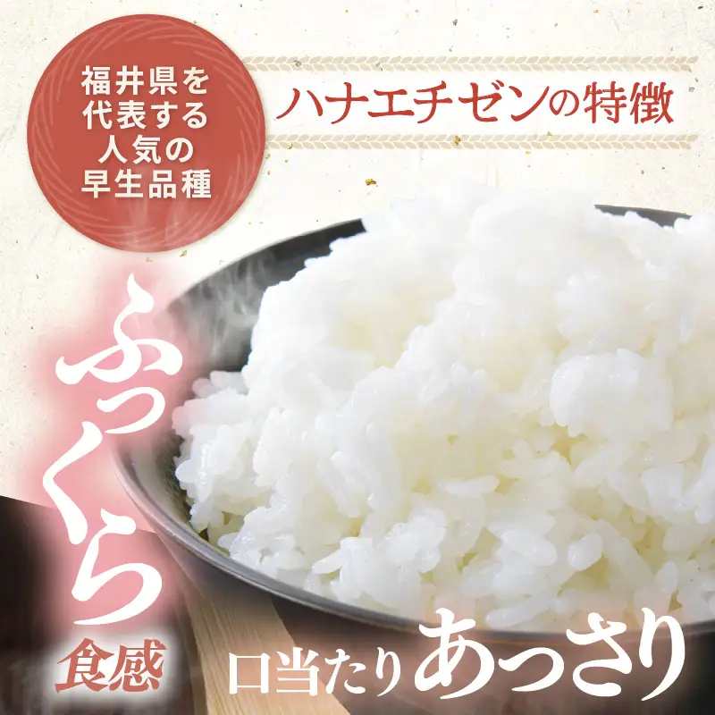 【先行予約】【令和8年産 一等米】定期便 ≪3ヶ月連続お届け≫ ハナエチゼン 精米 5kg（計15kg）（農事組合法人イーノなかのはま100）単一原料米  ※2026年10月より順次発送予定 [aw139-b001]