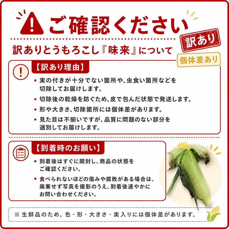 とうもろこし味来 10本入り 訳あり品 生で食べられる トウモロコシ とうきび コーン 新鮮野菜 減農薬栽培 北海道 江別市 EB8-0784