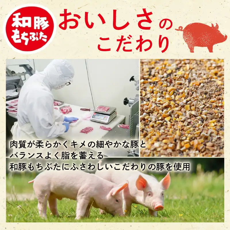 和豚もちぶた100％ ハンバーグ 20個 ハンバーグ ハンバーグ 新発田 新発田市 肉の片山 katayama016_01