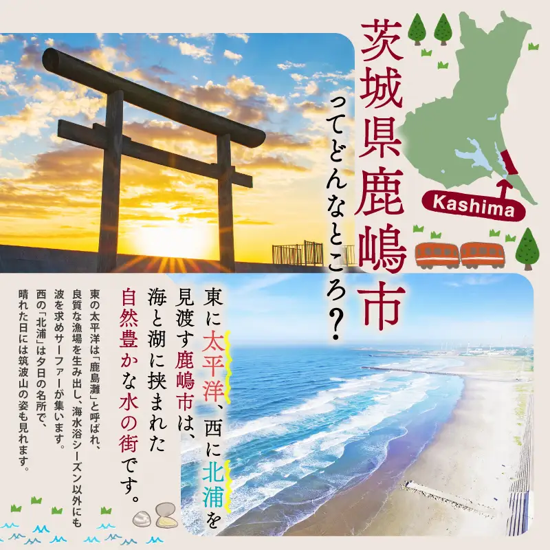 【 伊勢海老 】 約1kg 2～5尾 生 伊勢海老