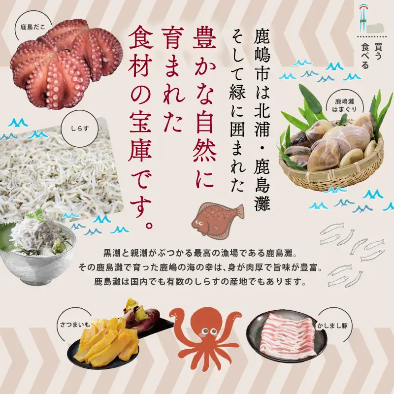 【 伊勢海老 】 約1.5kg 3～7尾 冷凍 伊勢海老