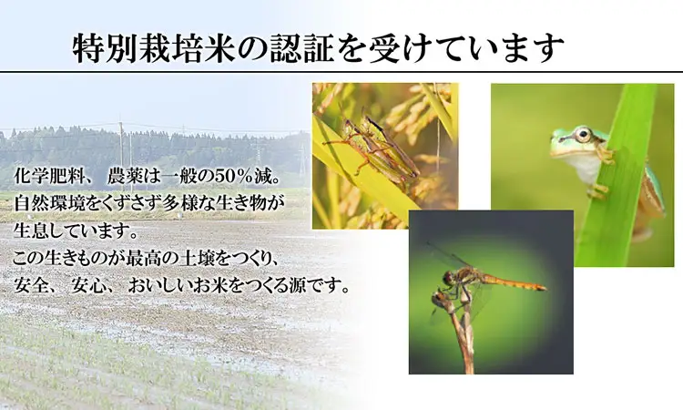 特別栽培米 はえぬき 乾式無洗米 10kg（5kg×2袋） 山形県鶴岡市産　米工房 月山 【令和8年産早期予約特別企画】