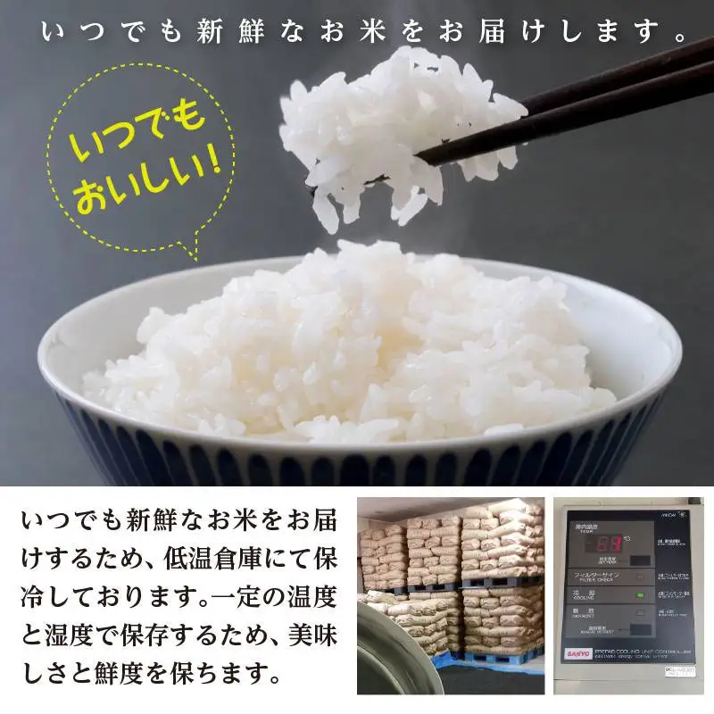 特別栽培米 はえぬき 無洗米 10kg 【令和8年産新米早期予約特別企画】
