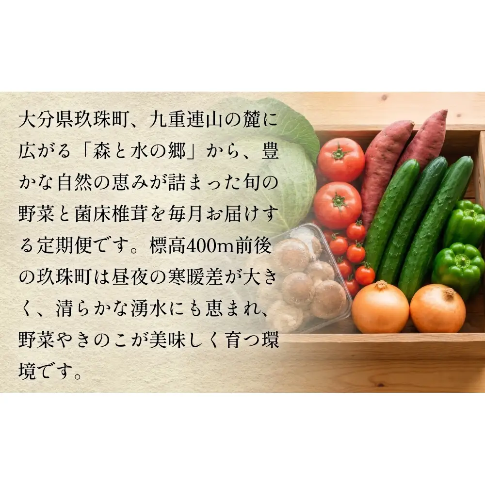 【ふるさと納税】3回定期便　玖珠の 旬野菜 ・ きのこ 6-10品 詰め合わせ  ｜ 大分県玖珠町 野菜 きのこ 旬 定期便 冷蔵 産地直送 新鮮 お取り寄せ