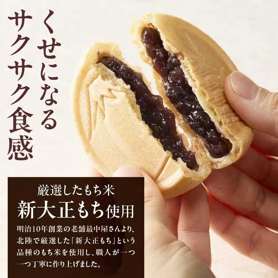 和菓子 富士山最中セット あんこ