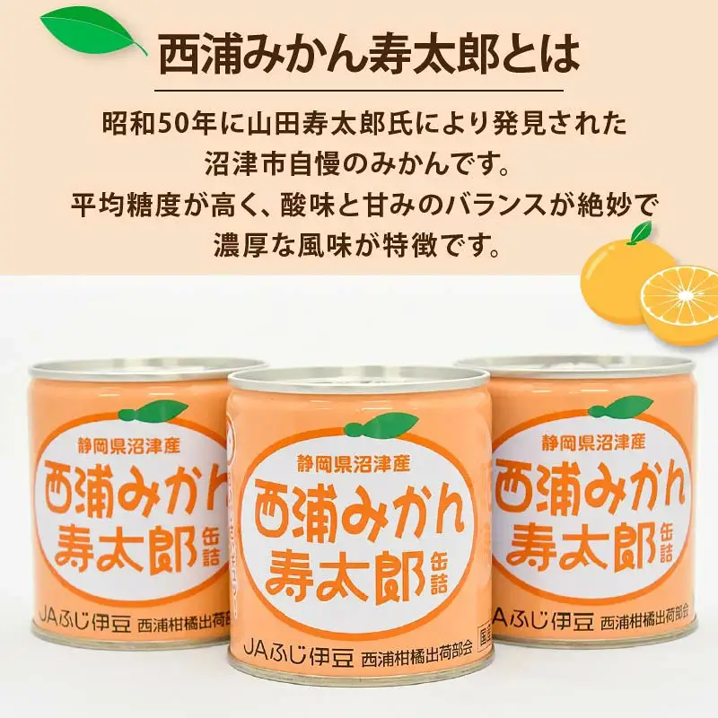 缶詰 西浦 みかん 寿太郎 缶詰 6缶 国産