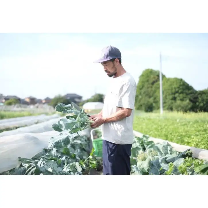 大舘農園　季節の野菜セットA（6～8品）
