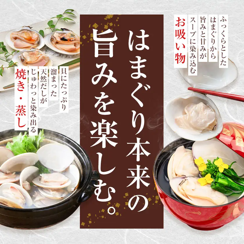 数量限定 天然 活 はまぐり 500g 寺田水産