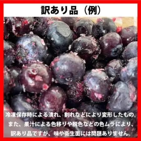 訳あり 冷凍 ブルーベリー 1kg 岩手県遠野市 遠野食工房蔵【配送不可地域：離島】【1583536】