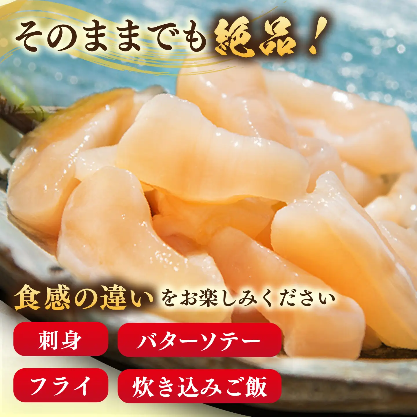 アコヤ貝 貝柱 750g JCJ025