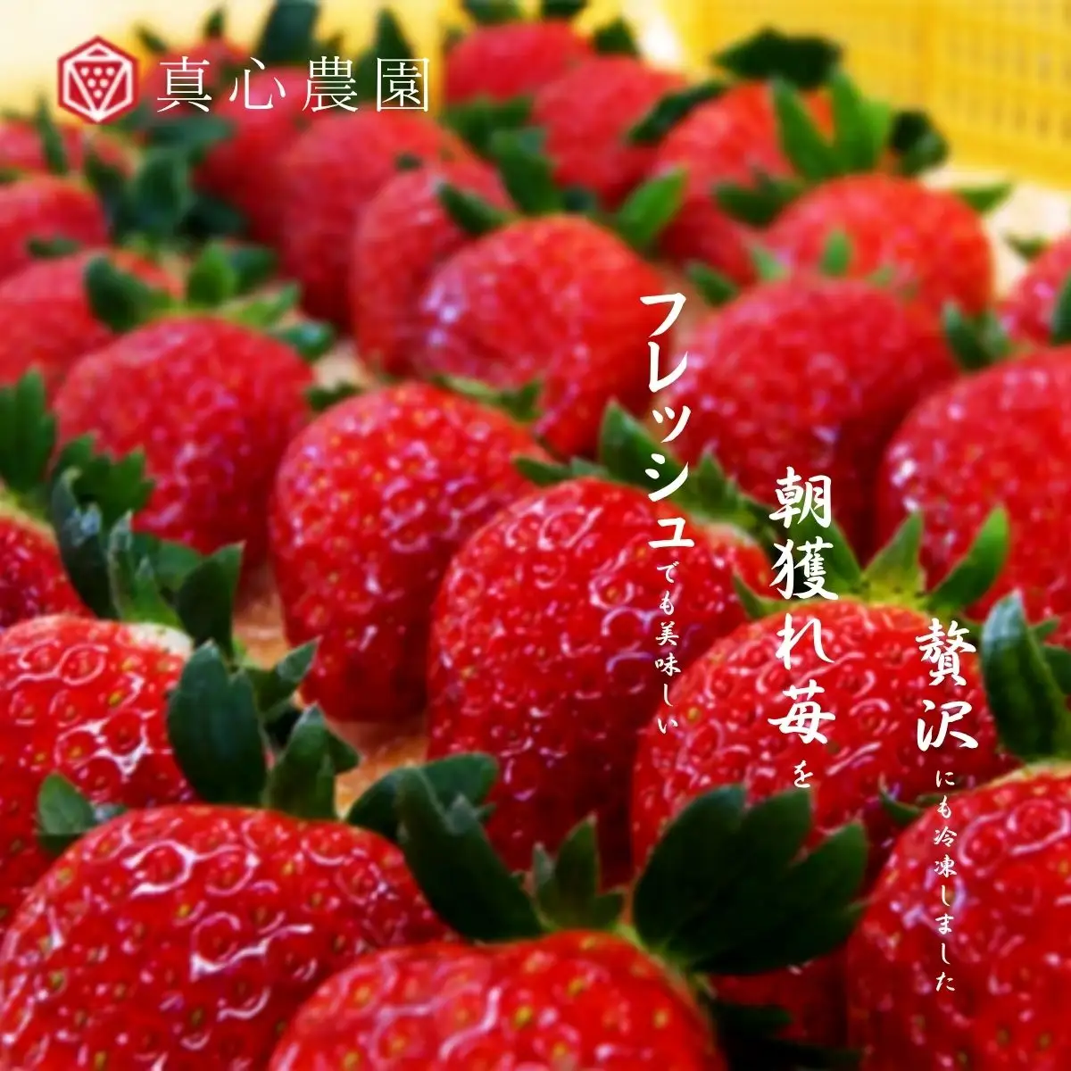 冷凍いちご あまりん 1kg 1袋 冷凍いちご
