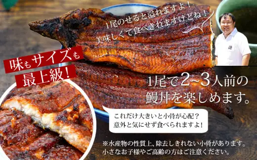 《規格外サイズ！》とても大きな三河産うなぎ 蒲焼1尾（300g以上） 国産 鰻 愛知・A135-13