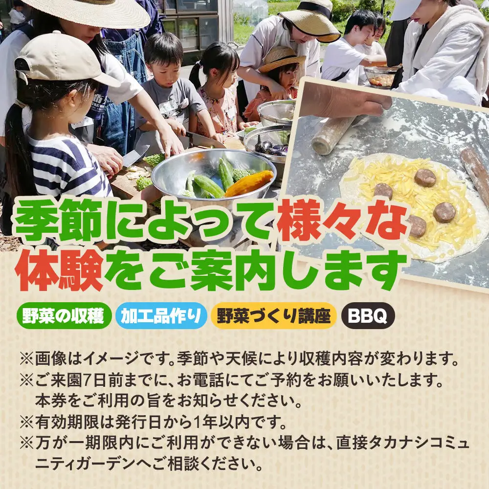 タカナシコミュニティガーデンのメンバーとのアクティビティチケット（3名様まで）＜レターパックプラス＞