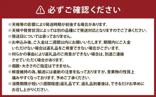 ＜ R8年熊本地震復興支援 ＞【 10ヶ月定期便 】 プロが選ぶ！ 旬の果物定期便 くだもの 果物 フルーツ 果実 果汁 果肉 国産 熊本県産 定期配送 定期 旬の果物 旬 甘味 季節 【 2027年1月上旬～10月下旬発送予定 】