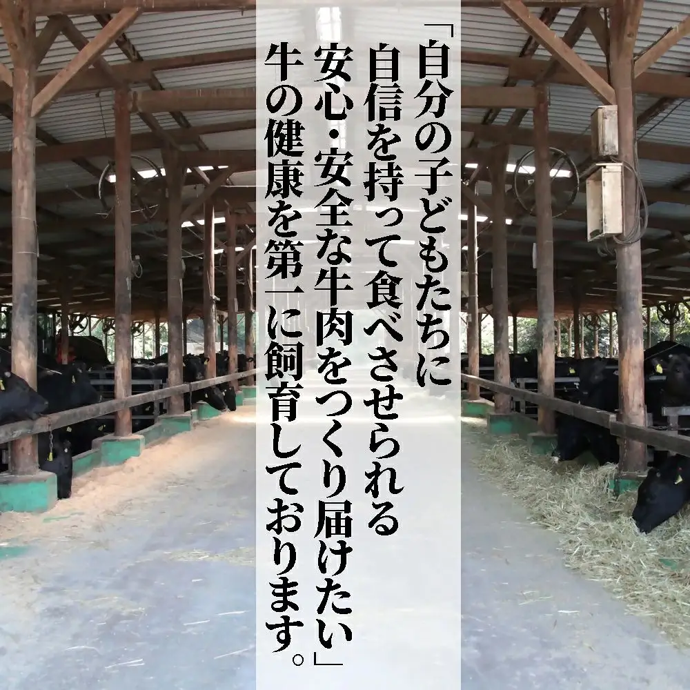 むなかた牛モモスライス500g【道の駅むなかた】_HA2093 むなかた牛 モモ もも スライス 福岡県宗像市 宗像市 福岡 宗像