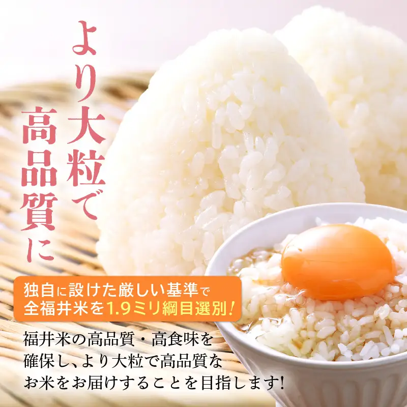 【先行予約】【令和8年産・新米】米 コシヒカリ 5kg × 1袋 精米 福井県美浜町産【2026年11月下旬から順次発送】 [m60-a020_11]