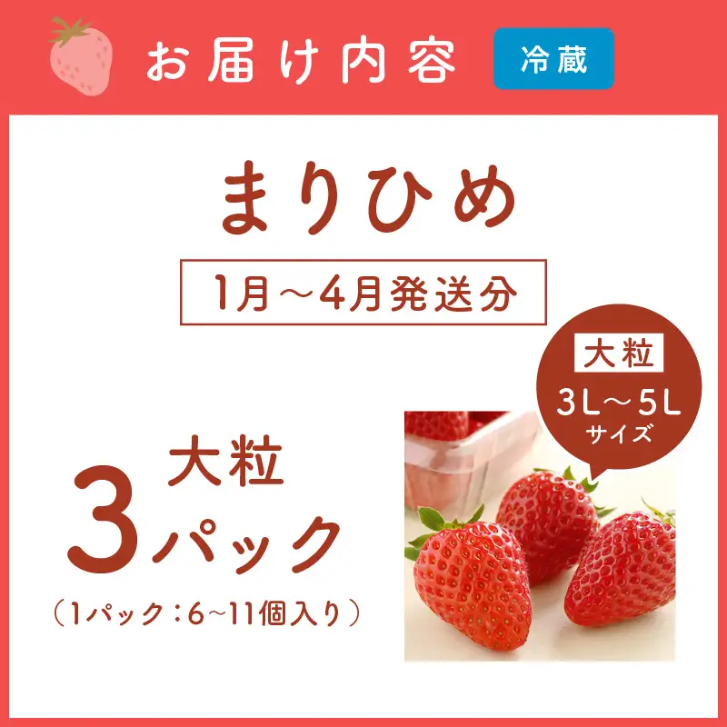 和歌山生まれのイチゴ（まりひめ）大粒3パック（1月～4月発送分）《先行予約》いちご【1266】