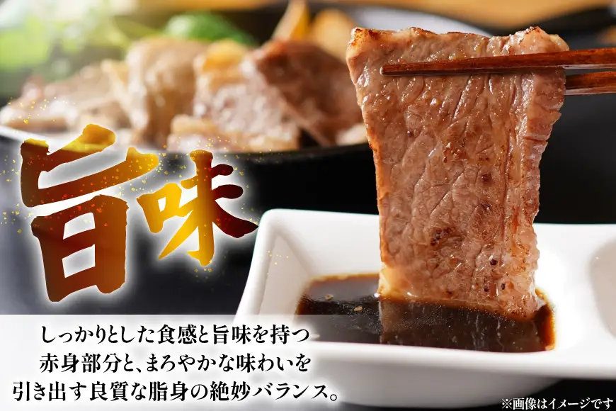 牛肉 平戸和牛 焼肉 赤身 約250g 2パック 計 約500g