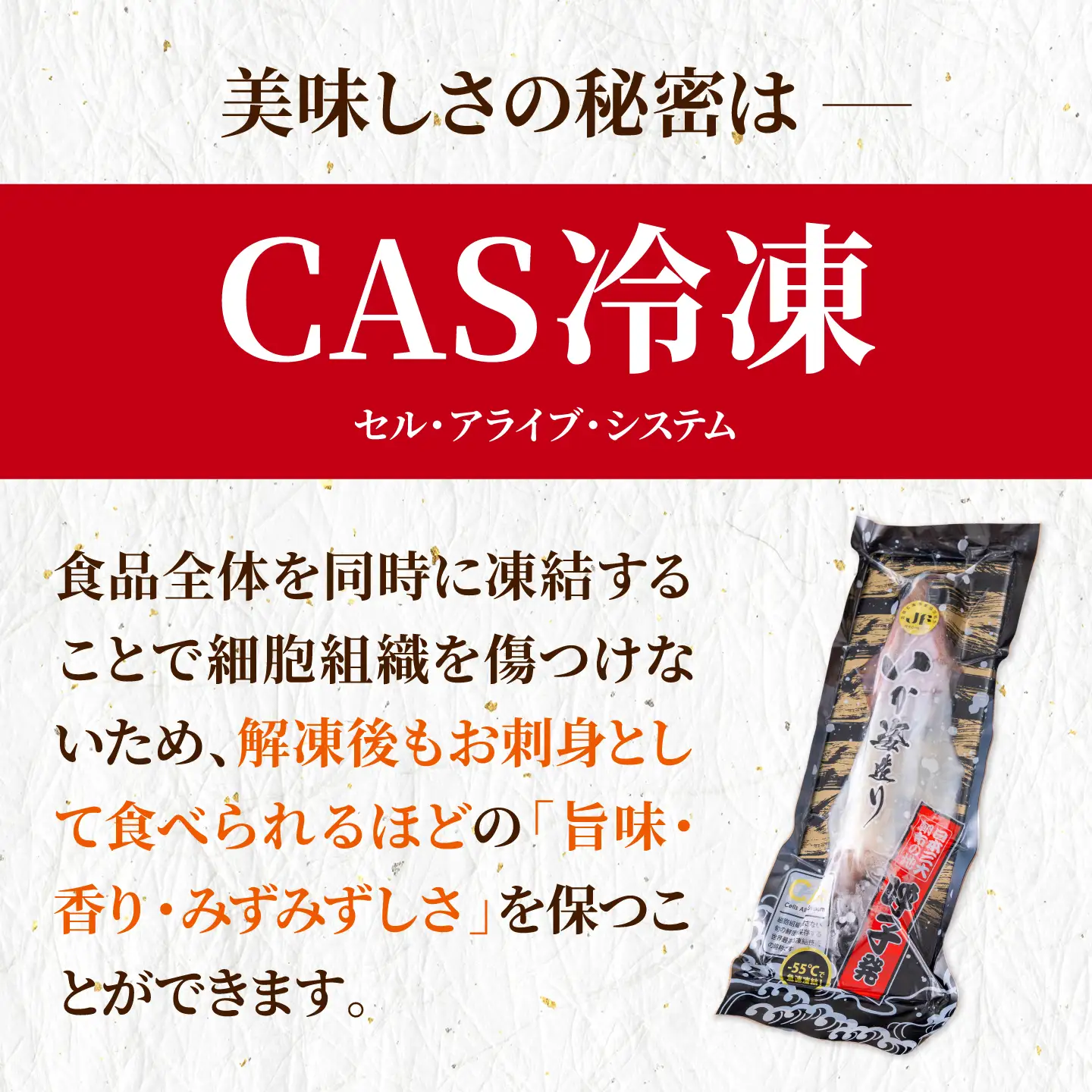 呼子剣先いか 姿造りLサイズ 2パック / イカ 烏賊 新鮮 刺身 / 佐賀県 / 佐賀玄海漁業協同組合（呼子CASセンター）[41ABAN003]