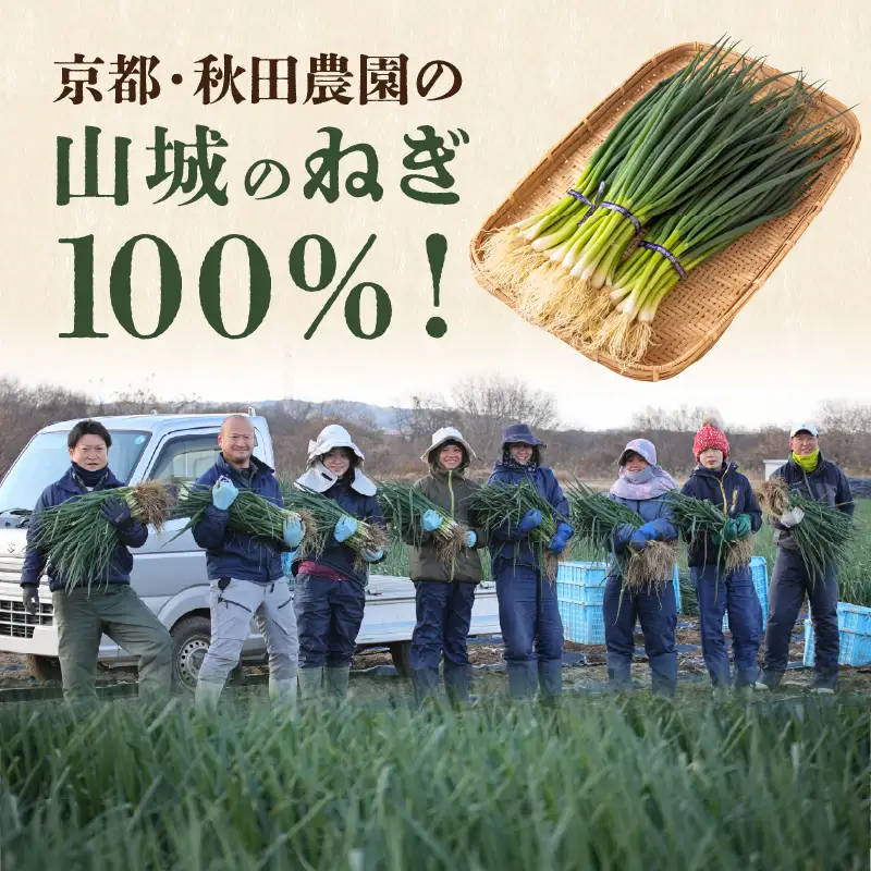 京都山城のねぎと国産しらすピザ 2枚セット 001-17-02